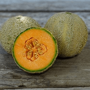Organic Honey Rock Melon Seeds – 25 lb Bulk