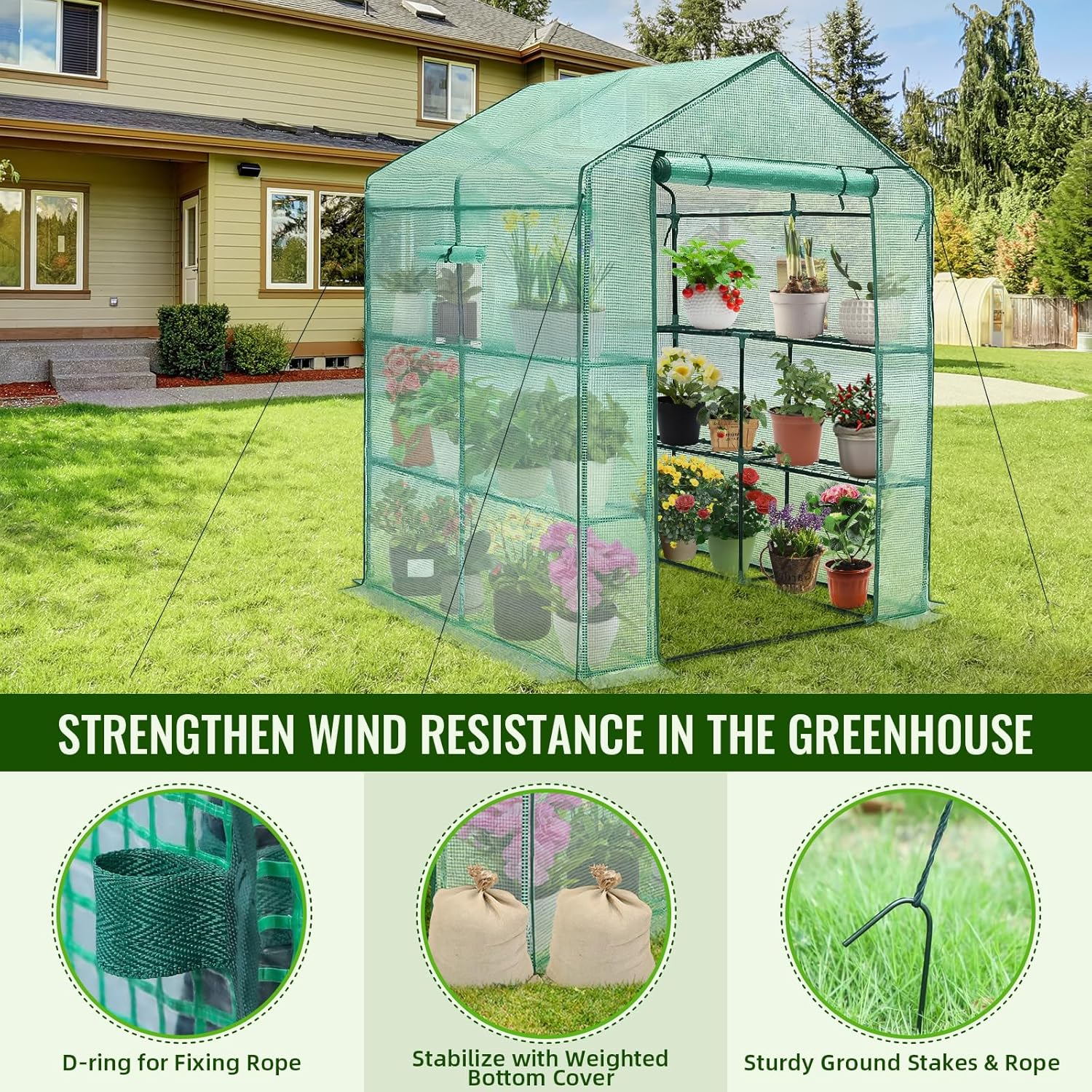 57″×57″×76″ Walk‑In Greenhouse with PE Cover and Shelves - Image 4
