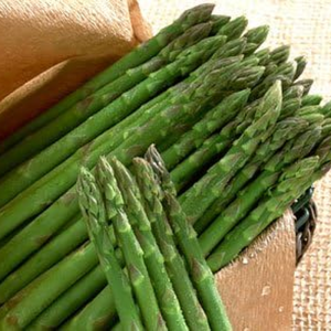 Organic Asparagus UC‑157 F2 Seeds – 25 lb Bulk
