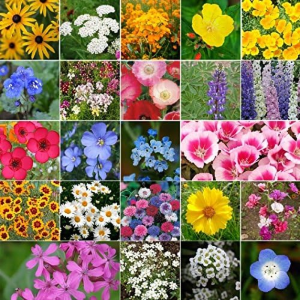 Non‑GMO California Wildflower Seed Mix – 10 lb Bulk (23 Species)