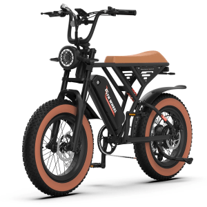 W16B 20" X 4" Fat Tire Electric Bike, 750W Motor Foldable Adult Ebike with 48V 15.6Ah Removable Battery, Electric Bicycle with 7 Speed, UL2849
