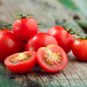 Tiny Tim Tomato Seeds – 1 lb Bulk