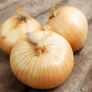 Imai Early Yellow Onion Seeds – 5 lb Bulk