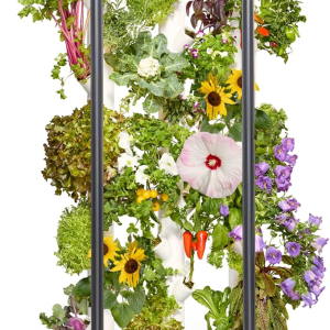 Hydroponics Growing System Kit & Vertical Garden Planter, 30 Non-Gmo Indoor Plants