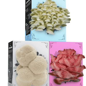 3‑Pack Organic Mushroom Grow Kits – Ready‑to‑Grow at Home
