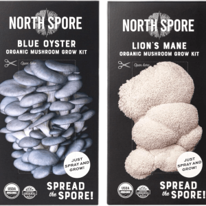 2‑Pack Organic Blue Oyster & Lion’s Mane Mushroom Kits