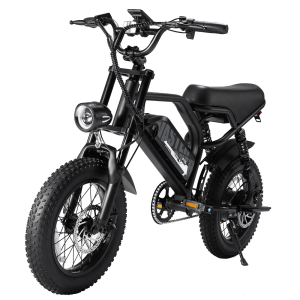 AVDL Electric Bike,16" Fat Tire Ebike,500W Motor,48V 12Ah Removable Battery,4X Suspension,38 Miles Pure Electric,55 Miles Pedal